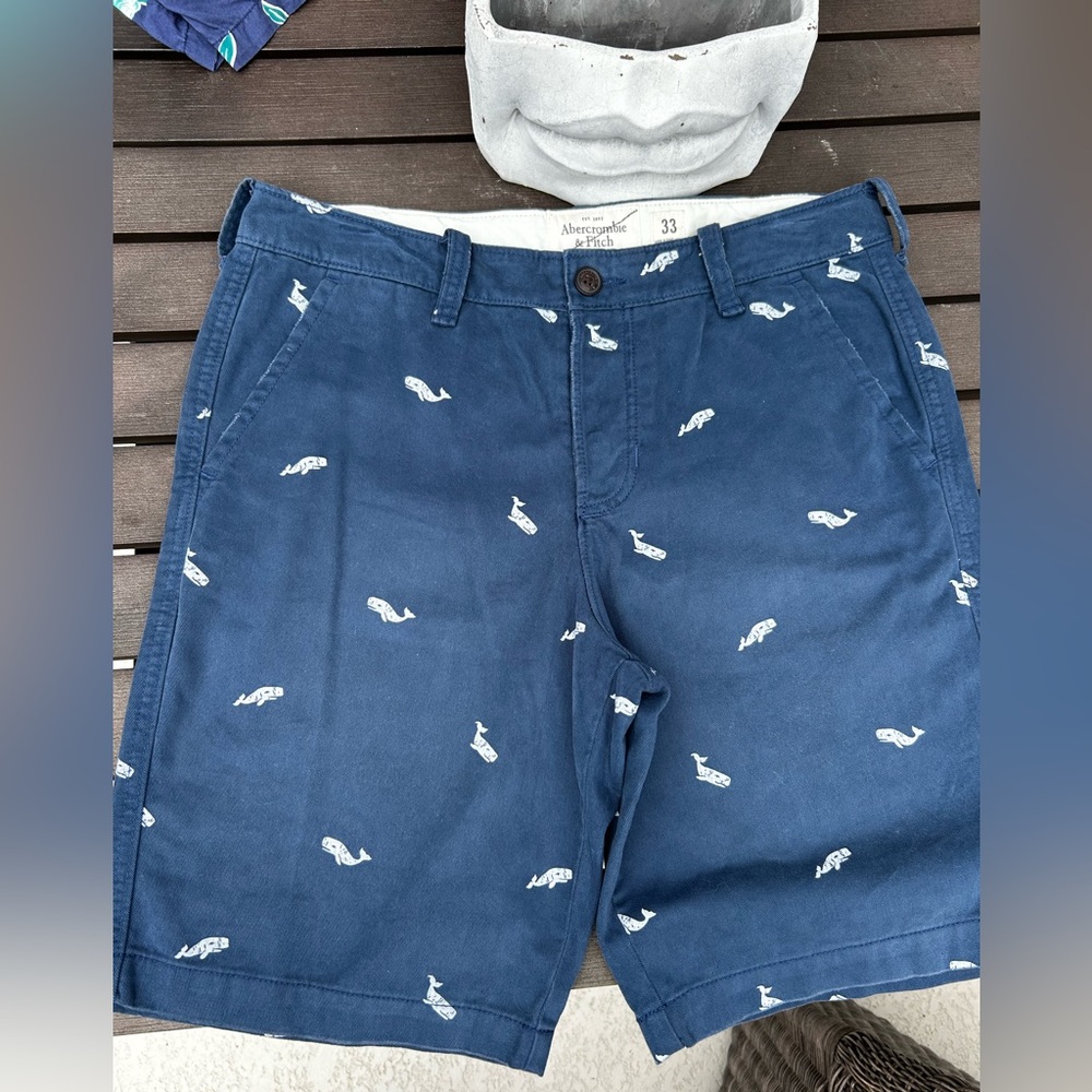 Abercrombie & Fitch Blue Flat Front Shorts with Playful Print